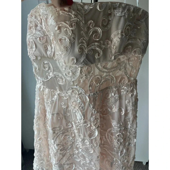 Sho Tadashi Rose Mist Embroidered Mesh Strapless Illusion Fit & Flare Dress - Picture 6 of 7